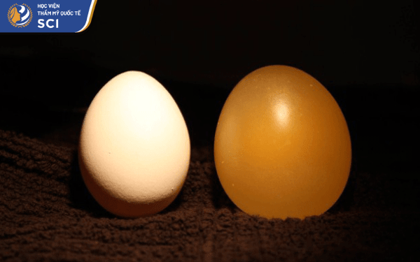 Giấm và trứng gà là giải pháp tiết kiệm và hiệu quả cho làn da mụn - hoidapnails.com