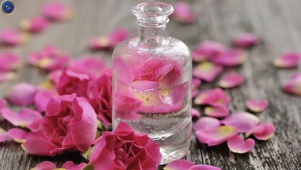 Nha đam làm đẹp hiệu quả hơn khi kết hợp với nước hoa hồng - hoidapnails.com