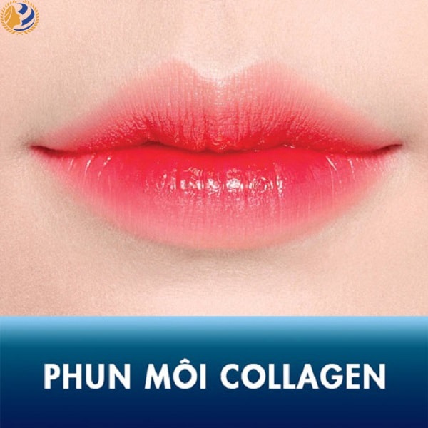 Phun môi collagen - hoidapnails.com