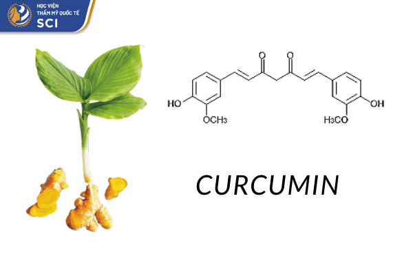 Curcumin được mệnh danh là "thần dược" trị mụn - hoidapnails.com