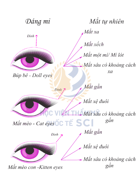 Phân tích kiểu mắt, mí mắt trước khi nối sẽ giúp lựa chọn được dáng mi phù hợp nhất - hoidapnails.com