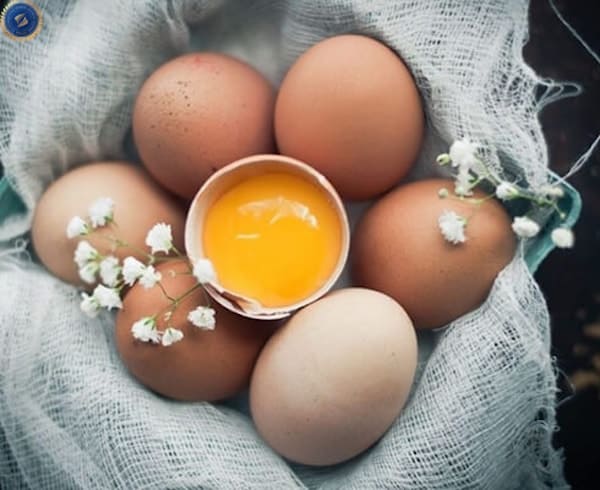 Kết hợp với trứng gà để nâng cao hiệu quả trắng da - hoidapnails.com