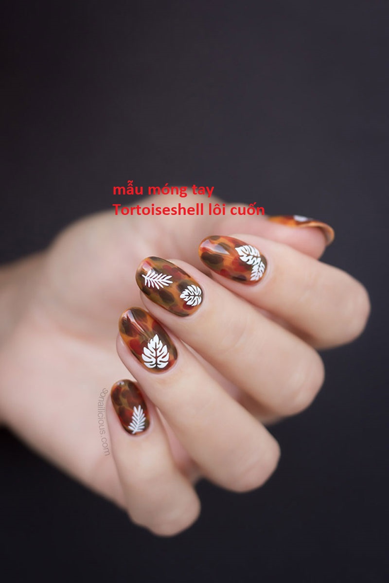 mẫu móng tay Tortoiseshell nổi bật