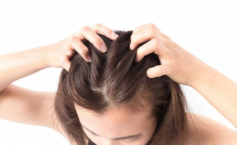 Chăm sóc tóc bằng dầu xã thiên nhiên có tác dụng gì với tóc?